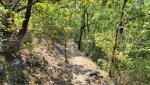 der schöne Waldweg führt uns ins Tal der Cascata del Giardino dei Cinque Sensi hinunter