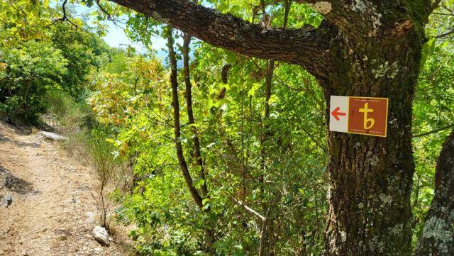 die Wegführung zeugt von einer durchdachten Planung