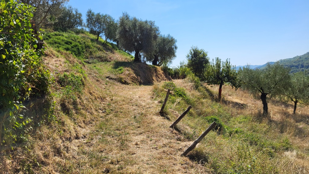 frisch gepflegt und sauber lag der Pfad vor uns, und machte das Weitergehen zu einem besonderen Vergnügen