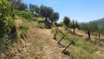 frisch gepflegt und sauber lag der Pfad vor uns, und machte das Weitergehen zu einem besonderen Vergnügen