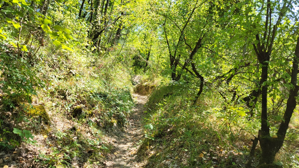 wir umrunden, rechts haltend, den Cimata del Monte. Der nun sehr schmale Pfad führt uns durch dichte Vegetation