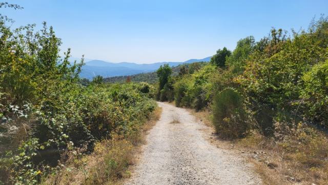 der Bergpfad mündet nun in eine Schotterstrasse hinein