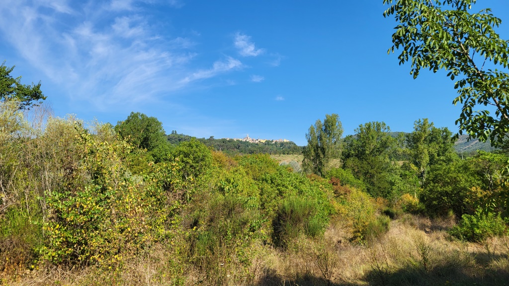 Blick zurück nach Mandela
