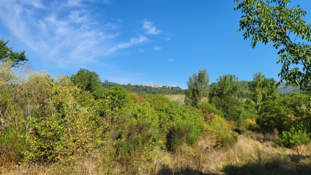 Blick zurück nach Mandela