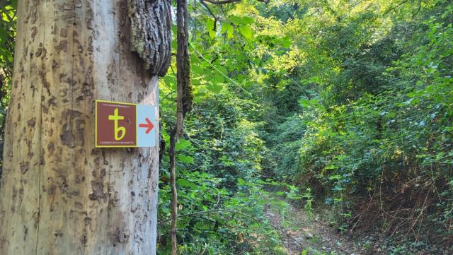 die Wegweiser des Cammino di San Benedetto weisen uns den Weg hinunter zum Aniene Fluss