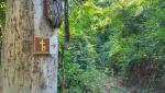 die Wegweiser des Cammino di San Benedetto weisen uns den Weg hinunter zum Aniene Fluss