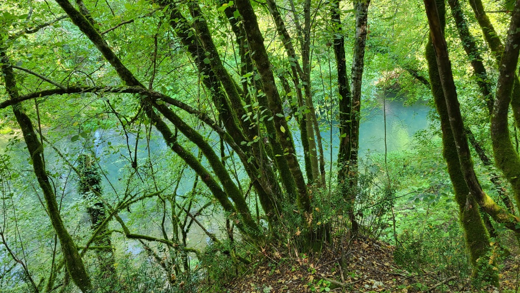 ...geht es nun praktisch den ganzen Tag am Aniene Fluss entlang
