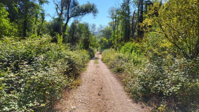 weit und breit keine Pilger zu sehen, wie meistens auf Pilgerwegen in Italien