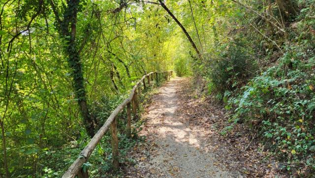 der Waldweg ist immer gut ersichtlich...