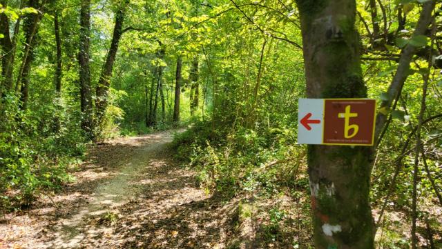 verlaufen ist auf diesem Teilstück praktisch nicht möglich