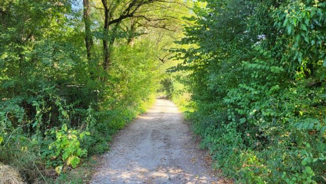 wir wandern weiter, unser Tagesziel lautet ja Subiaco