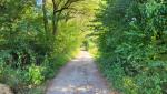 wir wandern weiter, unser Tagesziel lautet ja Subiaco
