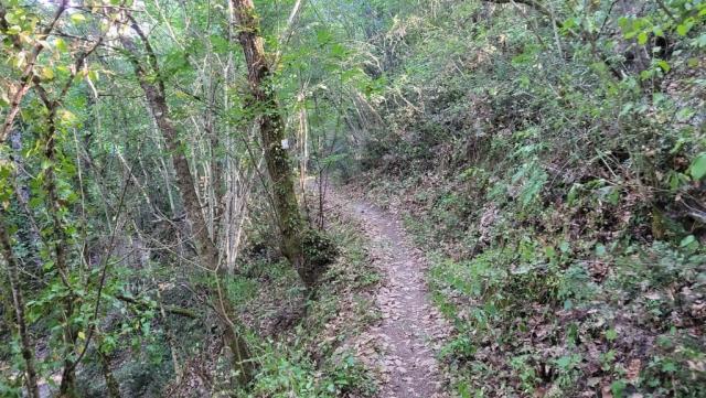 am Fusse des Colle Alto verliert der Wanderweg...