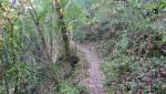 am Fusse des Colle Alto verliert der Wanderweg...