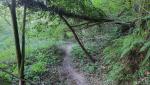 ...seine Sanftheit und wird spürbar wilder
