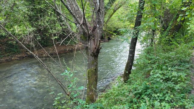 ...wie auch der Aniene wieder breiter