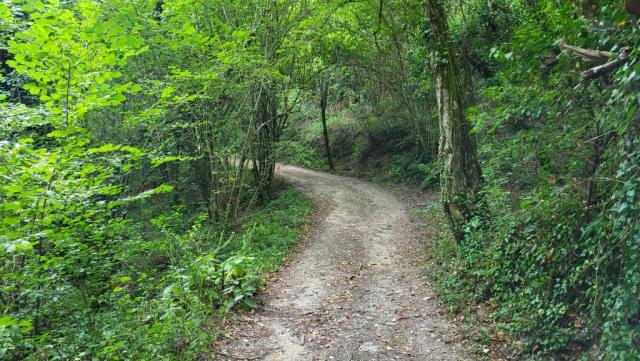 kurz vor Subiaco wird der Weg...