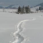 Schneeschuhtour Rothenthurm 26.12.2005