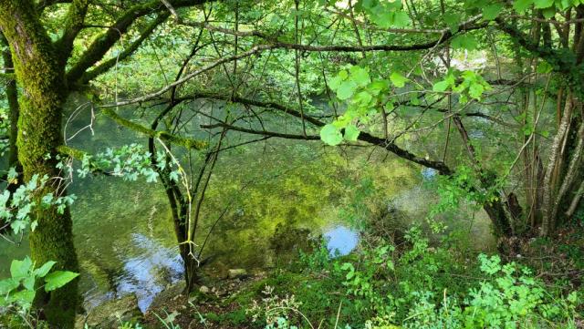 sie führt uns den ganzen Tag am rechts von uns fliessenden Aniene entlang...