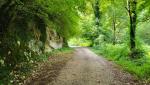 mitten durch den Regionalpark Monti Simbruini führt unsere Wanderroute
