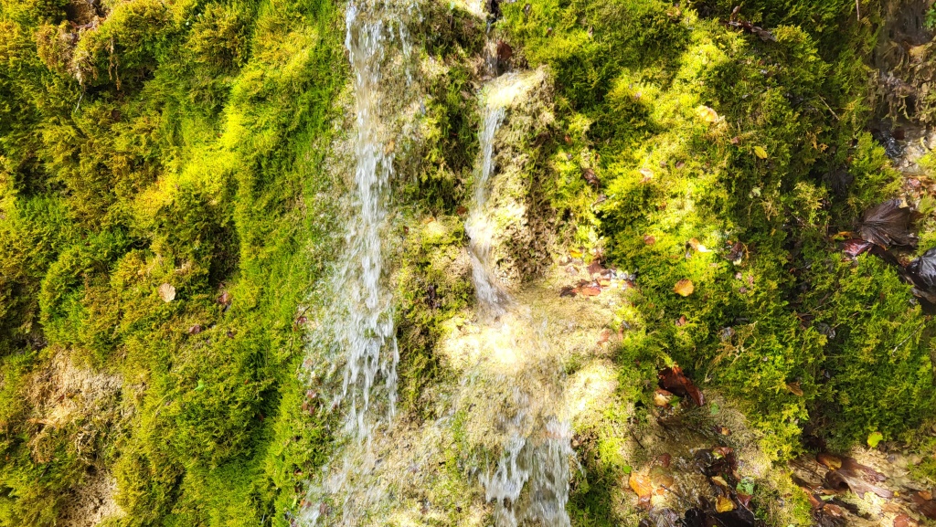 es ist eine ursprüngliche, von zahlreichen Wasserläufen und dichte Vegetation geprägte Natur