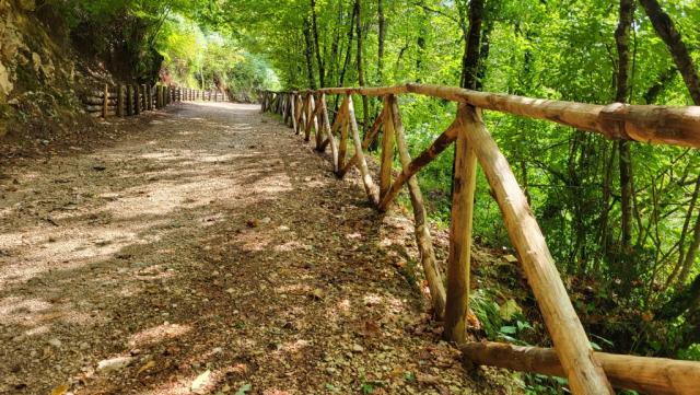 die Wanderwege sind perfekt unterhalten