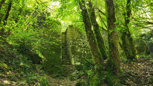 hier befand sich die Wasserentnahmestation des Aquädukt Anio Novus. Kaiser Caligula lies sie um 38 n. Chr. erbauen