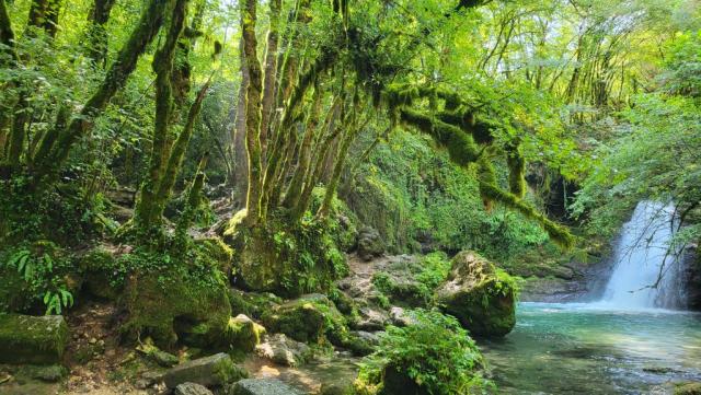 mit jedem Schritt wächst das Rauschen, bis sich vor uns der smaragdgrüne See mit dem Wasserfall öffnet