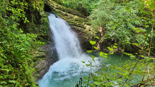 ...die man sich nicht entgehen lassen sollte