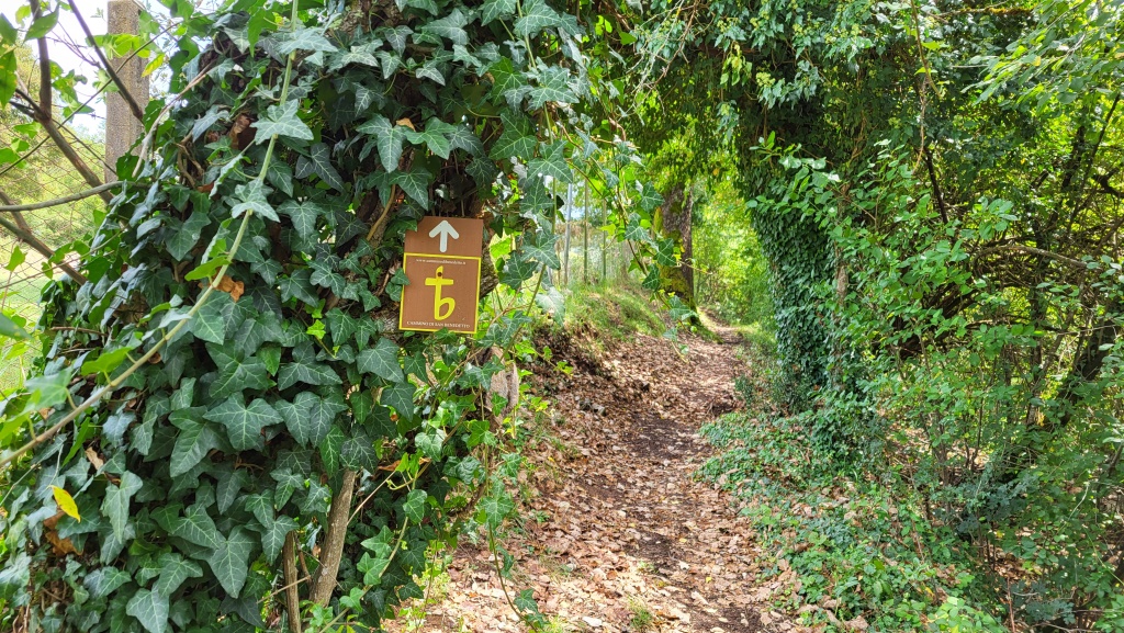 wieder geht es durch dichte Vegetation