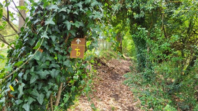 wieder geht es durch dichte Vegetation