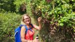 frische Brombeeren, noch warm von der Sonne, vom Strauch direkt in den Mund gepflückt