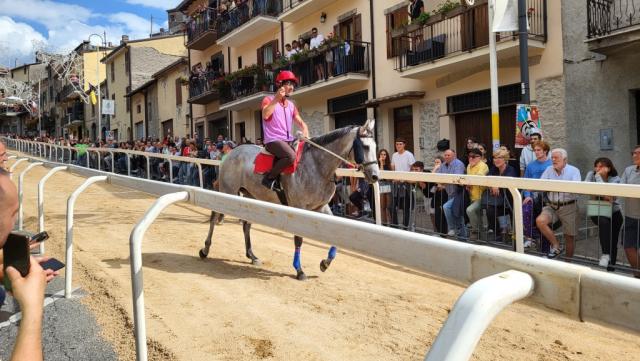 ähnlich dem Palio di Siena treten lokale Contrade gegeneinander an, die Rennen sind kurz und intensiv