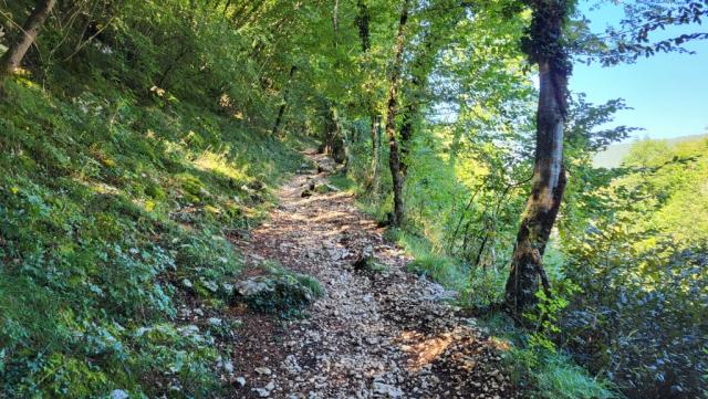 über diese Brücke überqueren wir den Aniene und steigen danach rasch durch den Wald bergauf