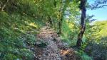 über diese Brücke überqueren wir den Aniene und steigen danach rasch durch den Wald bergauf