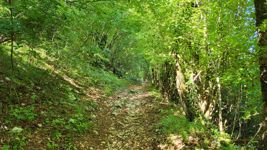 der Streckenabschnitt, auf dem wir gerade gehen war jahrhundertlang eine sehr wichtige Verkehrsverbindung