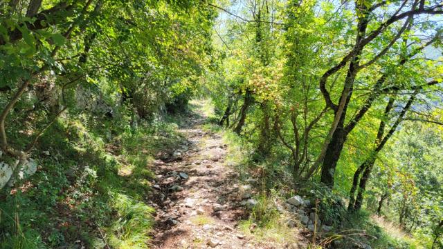 es folgt nun ein landschaftlich sehr reizvolles Teilstück