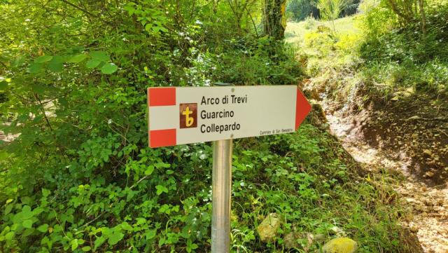 die Wegweiser führen uns sicher weiter, und in diesem dichten Wald sind sie wirklich unverzichtbar