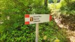die Wegweiser führen uns sicher weiter, und in diesem dichten Wald sind sie wirklich unverzichtbar