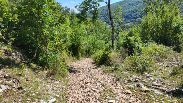 ...das erklärt die zahlreichen Höhenmeter auf dieser Etappe