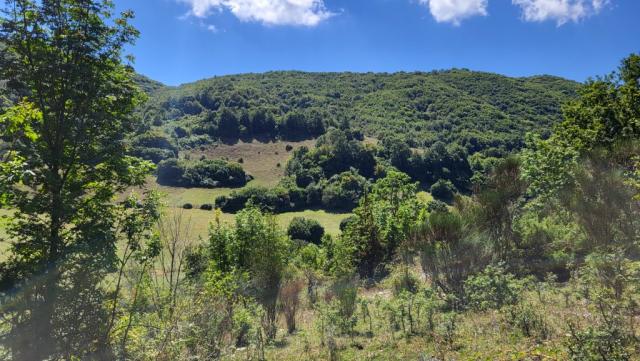 der wunderschöne Wanderpfad führt uns durch einen Ausläufer der Hochebene von Arcinazzo