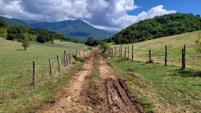 eine breite Feldstrasse führt uns aus der Hochebene hinaus