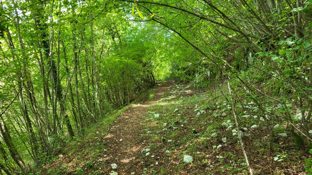wir durchqueren durch einen dichten Wald die Valle Macerosa