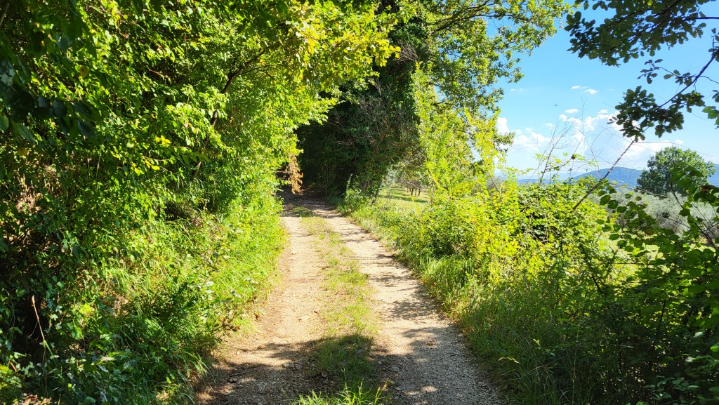 unser nächstes Ziel lautet nun Vico nel Lazio