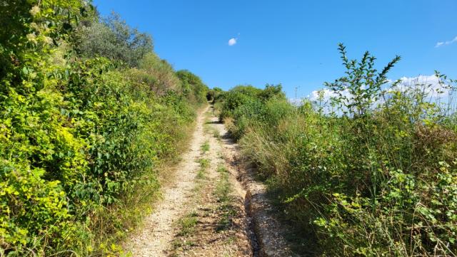 der Wanderweg zieht nun kräftig aufwärts