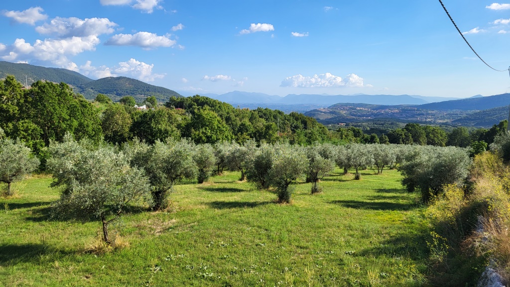 wir verlassen Vico nel Lazio und wandern durch weite Olivenhaine