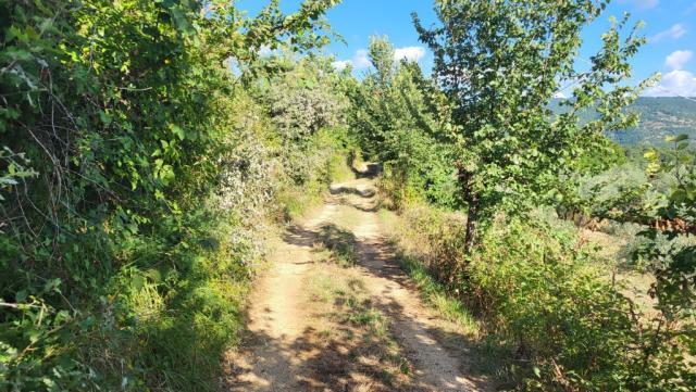auch die heutige Etappe auf dem Cammino di San Benedetto ist – wie alle zuvor – traumhaft schön