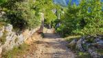 wir biegen rechts von der Asphaltstrasse ab und folgen einem markierten Fussweg