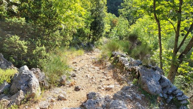es geht nun rasch bergab und in den Wald hinein...