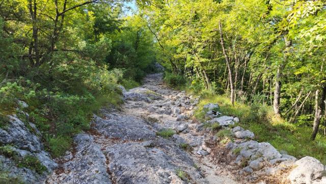 auf der anderen Seite steigt der Pfad wieder an